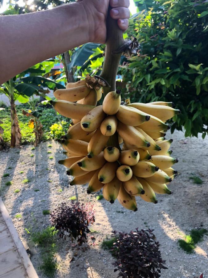 New Raya - Nias Beach Bungalows Lagudri 外观 照片